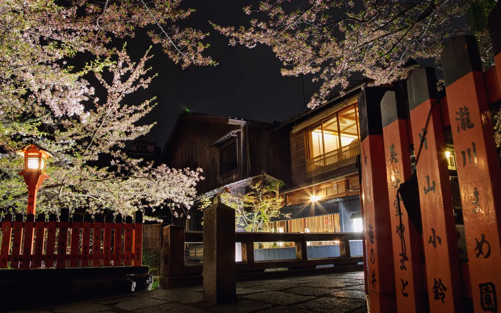 Cherry blossoms and lanterns along a quiet street in Gion, Kyoto, at night